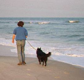 Magic, Quigley and Loki, November 1999
