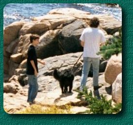 Acadia Shore