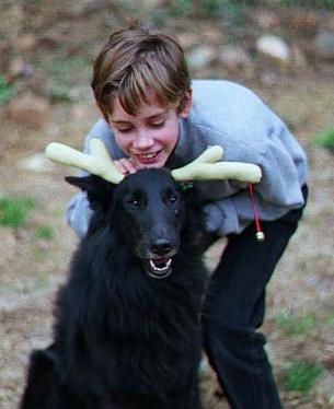 Magic with Antlers