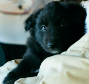 Mystic's first picture
