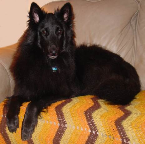 Mystic on her couch