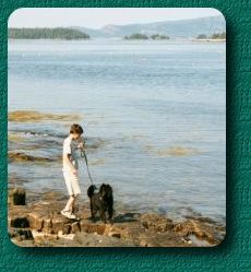 Mystic in Maine